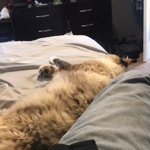 Meet your Posher, Bobby